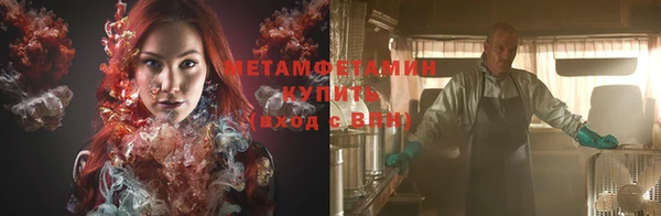 трава Няндома