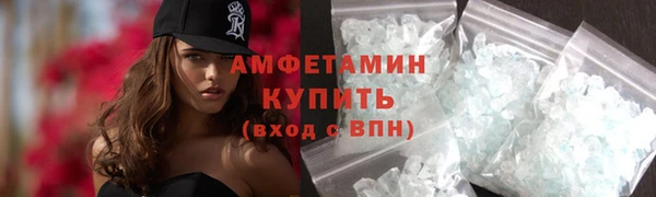 трава Няндома