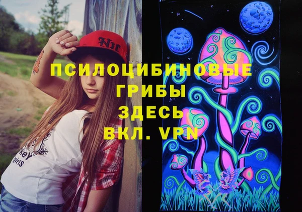 винт Новодвинск