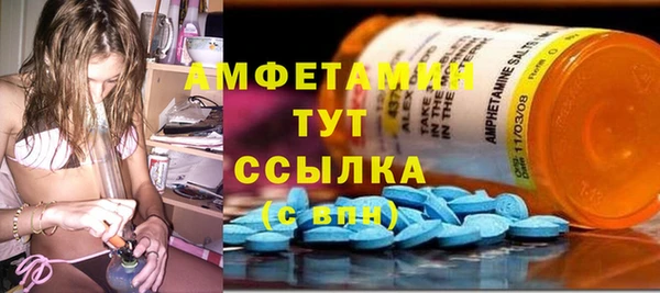 трава Няндома