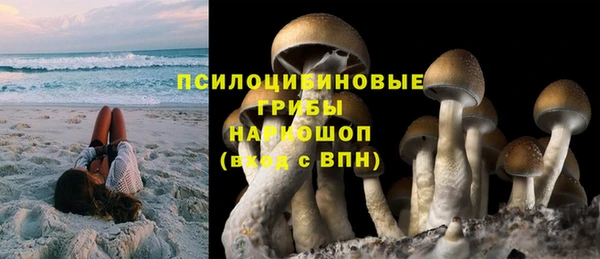 винт Новодвинск