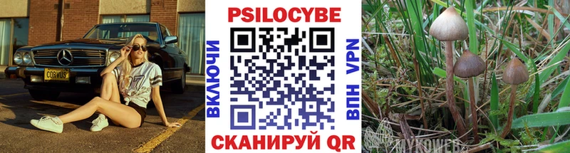Галлюциногенные грибы GOLDEN TEACHER Чита