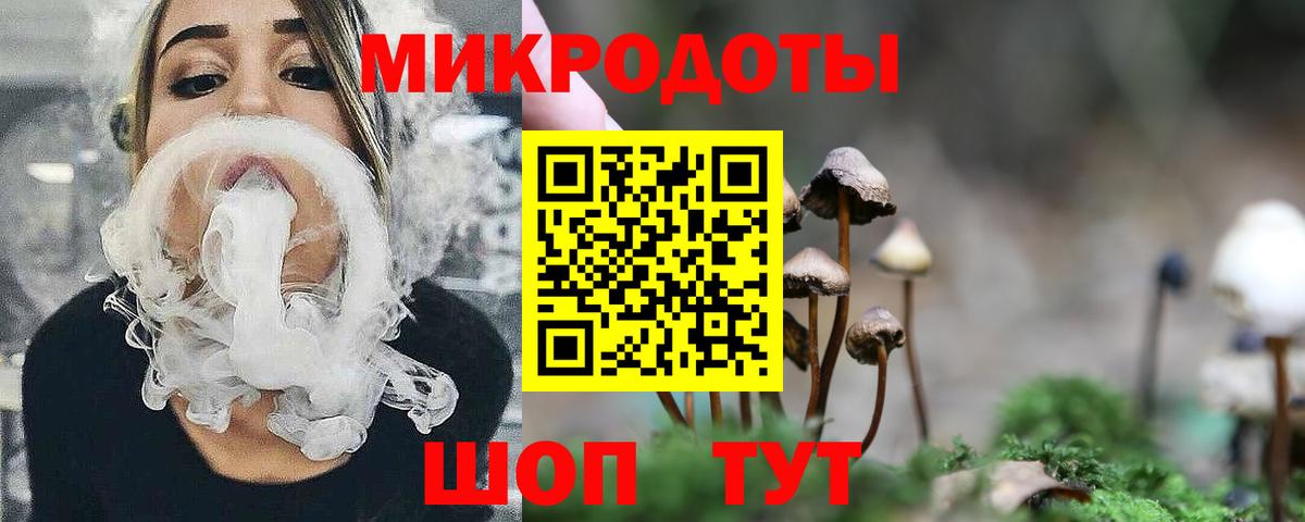 Чита  Галлюциногенные грибы Psilocybe  Вход с VPN 